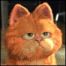 GitHub Avatar for jongrey